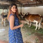 Shivani Narayanan Instagram - Birthday 2022 ♥️ 5/5 Thanks a lot everyone for all your lovely wishes 🤗 #nomakeup #nofilter Thiruvalidhayam, Padi Sivan Temple- Guru Stalam