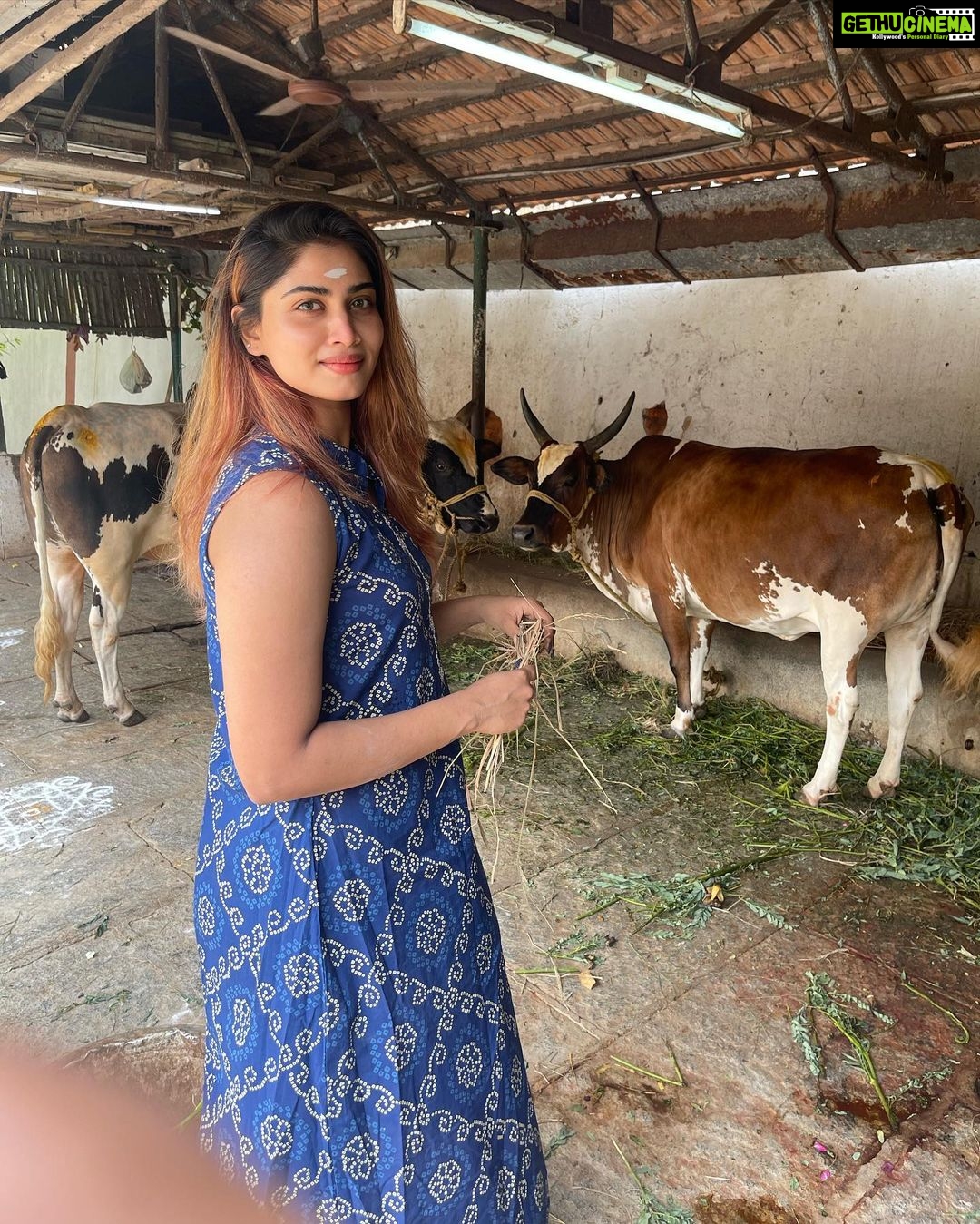 Shivani Narayanan Instagram - Birthday 2022 ♥️ 5/5 Thanks a lot everyone for all your lovely wishes 🤗 #nomakeup #nofilter Thiruvalidhayam, Padi Sivan Temple- Guru Stalam