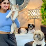 Shivani Narayanan Instagram – New Addition to the fam . 
Welcome Home #MissVodka 💙 #husky 
#shitzu’s