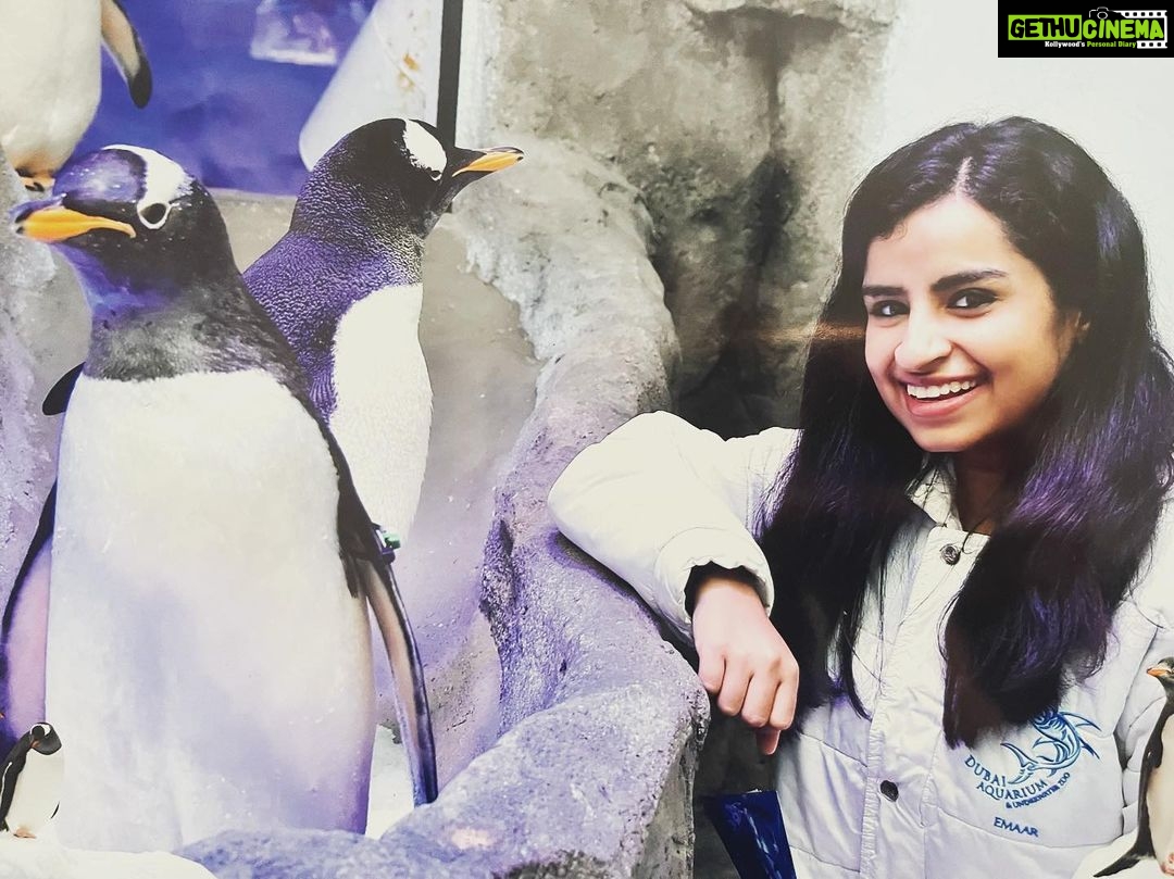 Sivaangi Krishnakumar Instagram - En Inam🌟 Cutest creatures ever😍 @touronholidays #penguins Dubai Aquarium, Dubai Mall