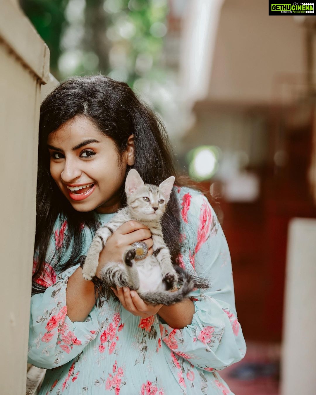 Sivaangi Krishnakumar Instagram - Smile..ft Pulimurigan 😎🐱😻 PC : @arunprasath_photography