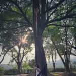 Soha Ali Khan Instagram – The tree of life 🌳 Dehra Dun, India
