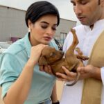 Suja Varunee Instagram – ♥️ Look at this little one lost and searching for his mother… Found him during shoot lunch time, but didn’t go for lunch as we wanted to search for his mother and finally we did and made him reunite!
The bond of a mother and child is precious!

MUA by the 🥰 lovely @b3bridalstudio 
Belt @louisvuitton gifted my dear friend @stalinadaisy ❤️

#shootime #reunited #doglove EVP Film City