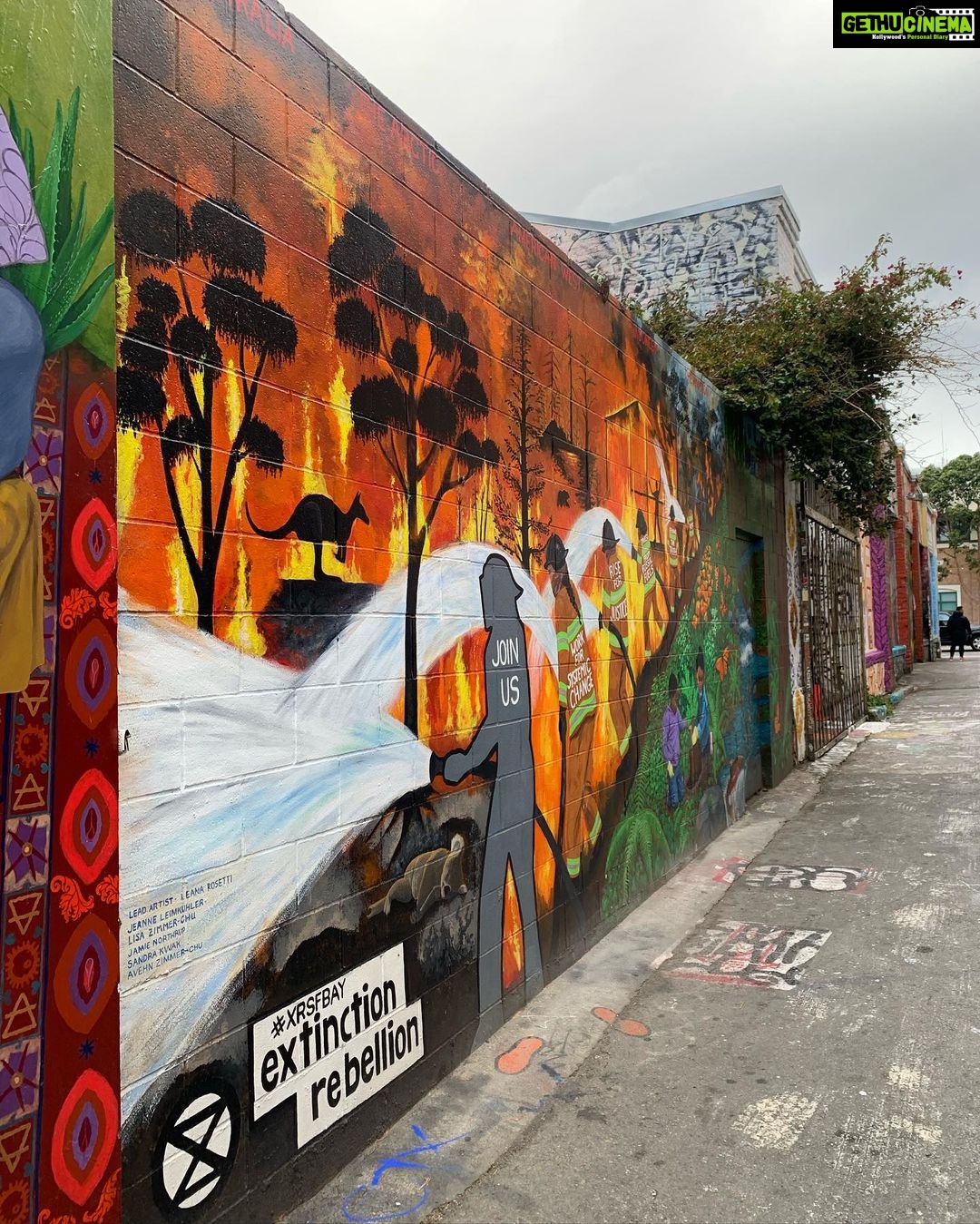 Swara Bhaskar Instagram - First visit to #sanfrancisco Forgot to post pics.. so here is a dump.. some gorgeous street art, yummy hot chocolate, a visit to a quaint bookshop, lots of walks and the love and indulgence of family! #throwback #feelsoblessed #travelgram #sanfran #streetart San Francisco, California