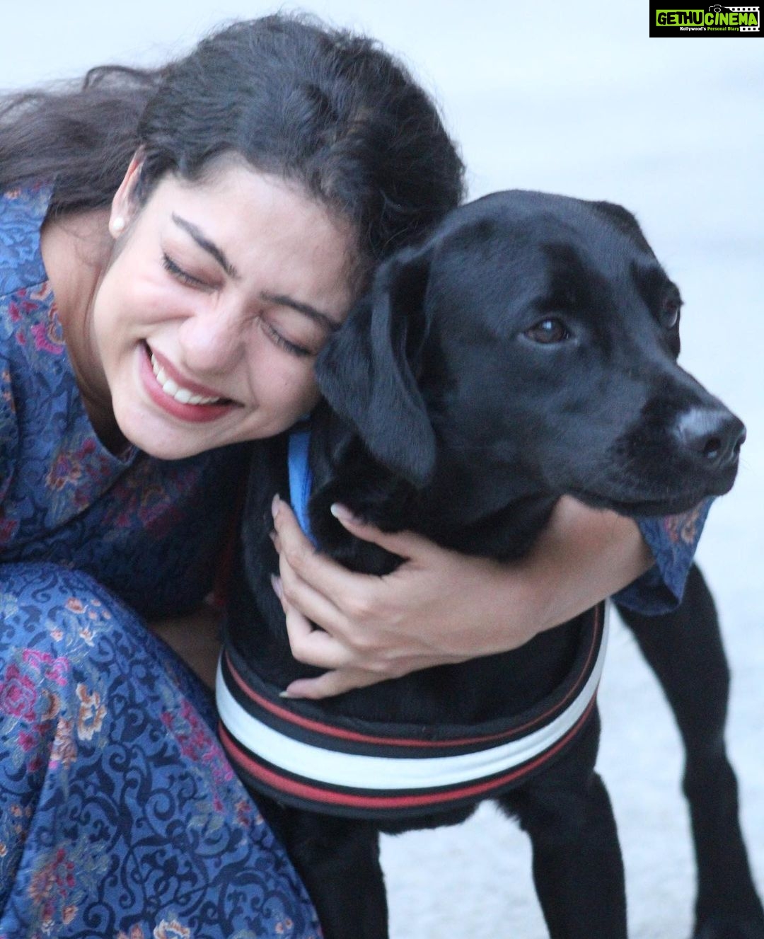 Varsha Bollamma Instagram - Hachi turns 2!! 🥺❤️ Happy birthday Hachiko! Thank you for coming into my life. Thank you for teaching me the real meaning of unconditional love. Thank you for always making me laugh❤️ To many many walks together🤗🤗❤️🐶🐶🐶 . Swipe to the last slide for some LOVE 😋🐶❤️