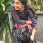 Varsha Bollamma Instagram - Hachi turns 2!! 🥺❤️ Happy birthday Hachiko! Thank you for coming into my life. Thank you for teaching me the real meaning of unconditional love. Thank you for always making me laugh❤️ To many many walks together🤗🤗❤️🐶🐶🐶 . Swipe to the last slide for some LOVE 😋🐶❤️