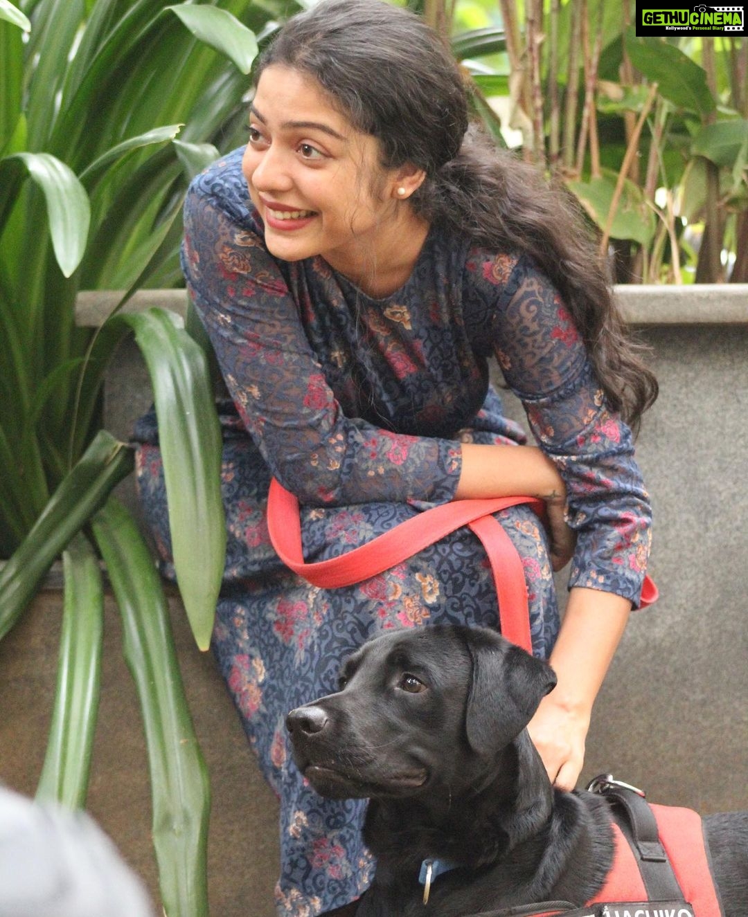 Varsha Bollamma Instagram - Hachi turns 2!! 🥺❤️ Happy birthday Hachiko! Thank you for coming into my life. Thank you for teaching me the real meaning of unconditional love. Thank you for always making me laugh❤️ To many many walks together🤗🤗❤️🐶🐶🐶 . Swipe to the last slide for some LOVE 😋🐶❤️