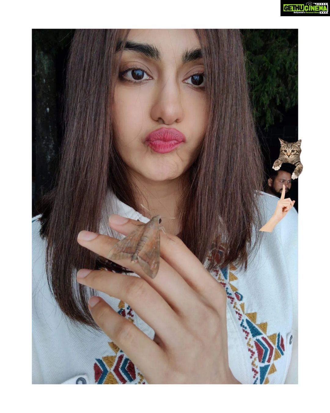 Adah Sharma Instagram - Moth se darr nahi lagta #AdahKaKeeda meet जान 🦋🐛 . . . . #100YearsOfAdahSharma #adahsharma #moths #mothsofinstagram #mothsmatter P.S. swipe to see जान doing this 😛 Also new movie , new look... Jaan isn't part of the film...just came to visit us on set ❤️ . . . . P.S.part 2 : if u photobomb my pics (even if it's a mistake)...