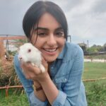 Adah Sharma Instagram - Prem Deewani Bunny 🐰🐇❤ बनी बनी बनी re बनी ON SETTTT !!!!!!! , , , , ,#100YearsOfAdahSharma #adahsharma #bunniesworldwide #bunnies #bunniesofinstagram #bunniesworldwide #bunnnnniessssssssss