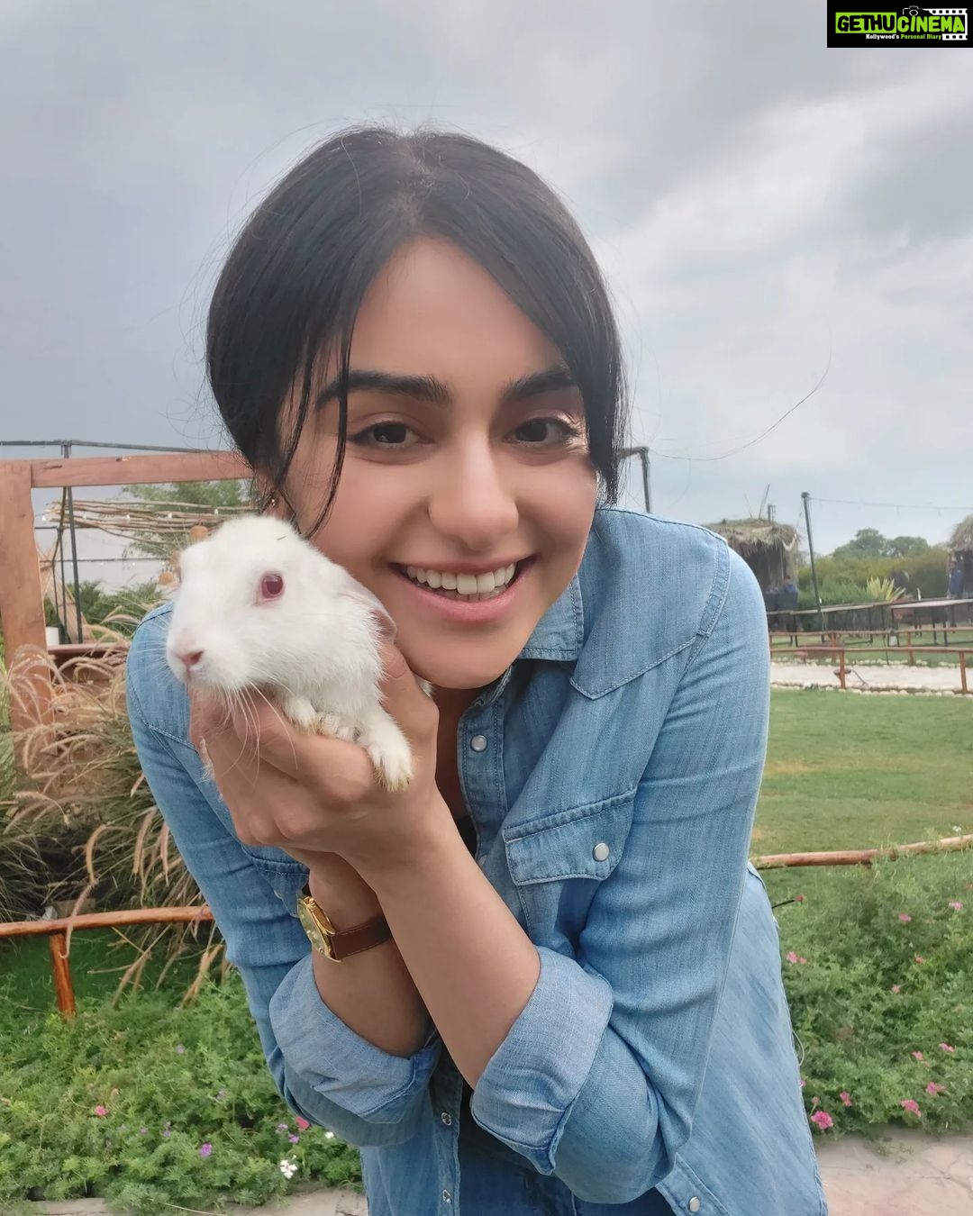 Adah Sharma Instagram - Prem Deewani Bunny ๐ฐ๐โค เคฌเคจเฅ เคฌเคจเฅ เคฌเคจเฅ re เคฌเคจเฅ ON SETTTT !!!!!!! , , , , ,#100YearsOfAdahSharma #adahsharma #bunniesworldwide #bunnies #bunniesofinstagram #bunniesworldwide #bunnnnniessssssssss