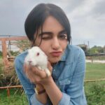 Adah Sharma Instagram - Prem Deewani Bunny 🐰🐇❤ बनी बनी बनी re बनी ON SETTTT !!!!!!! , , , , ,#100YearsOfAdahSharma #adahsharma #bunniesworldwide #bunnies #bunniesofinstagram #bunniesworldwide #bunnnnniessssssssss
