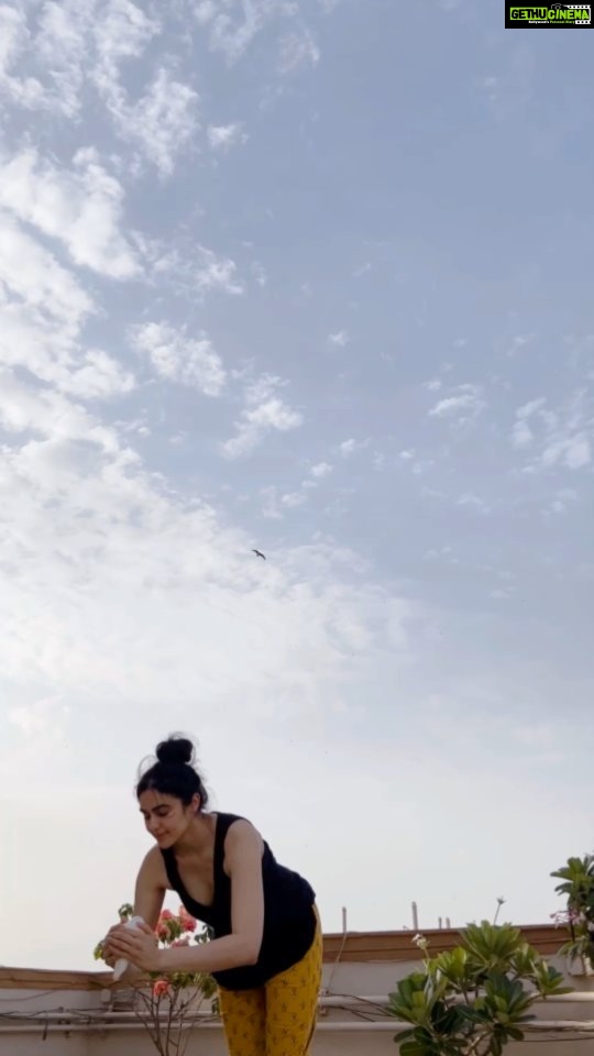 Adah Sharma Instagram - सर्वे भवन्तु सुखिन: 🐚 P.S. if you spotted the airplane in the video leave your name in the comments Anandi the kite (chidiya not patang) will drop off a 