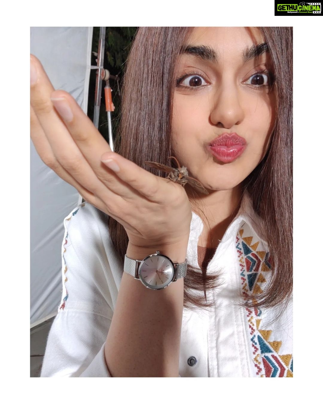 Adah Sharma Instagram - Moth se darr nahi lagta #AdahKaKeeda meet जान 🦋🐛 . . . . #100YearsOfAdahSharma #adahsharma #moths #mothsofinstagram #mothsmatter P.S. swipe to see जान doing this 😛 Also new movie , new look... Jaan isn't part of the film...just came to visit us on set ❤️ . . . . P.S.part 2 : if u photobomb my pics (even if it's a mistake)...
