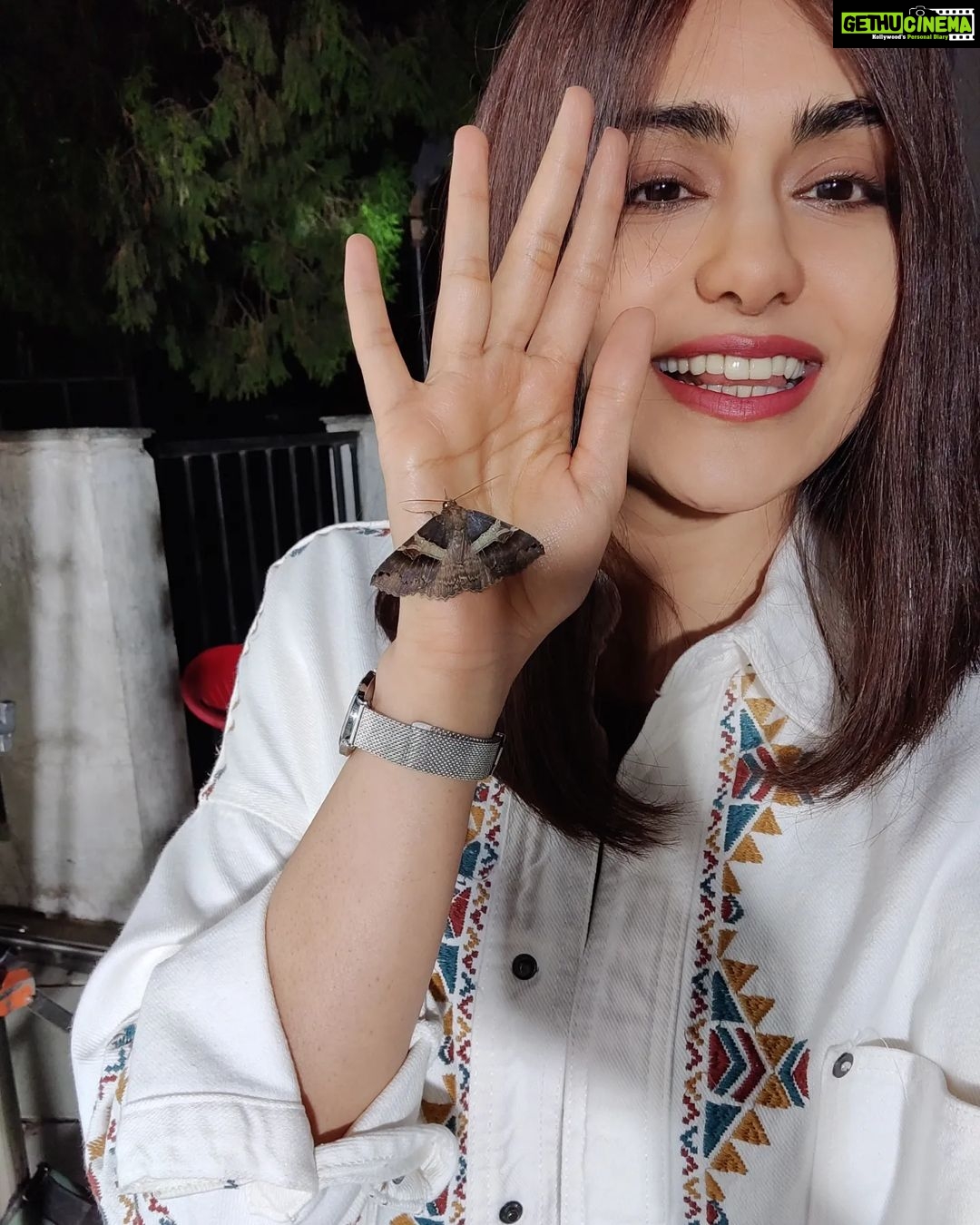 Adah Sharma Instagram - Moth se darr nahi lagta #AdahKaKeeda meet जान 🦋🐛 . . . . #100YearsOfAdahSharma #adahsharma #moths #mothsofinstagram #mothsmatter P.S. swipe to see जान doing this 😛 Also new movie , new look... Jaan isn't part of the film...just came to visit us on set ❤️ . . . . P.S.part 2 : if u photobomb my pics (even if it's a mistake)...