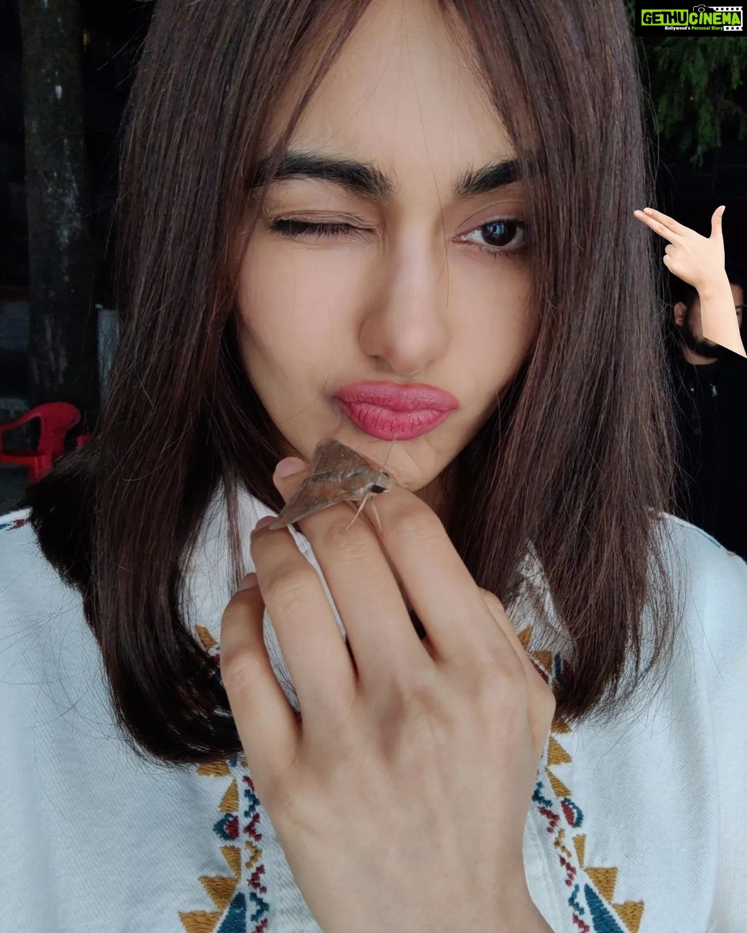 Adah Sharma Instagram - Moth se darr nahi lagta #AdahKaKeeda meet जान 🦋🐛 . . . . #100YearsOfAdahSharma #adahsharma #moths #mothsofinstagram #mothsmatter P.S. swipe to see जान doing this 😛 Also new movie , new look... Jaan isn't part of the film...just came to visit us on set ❤️ . . . . P.S.part 2 : if u photobomb my pics (even if it's a mistake)...