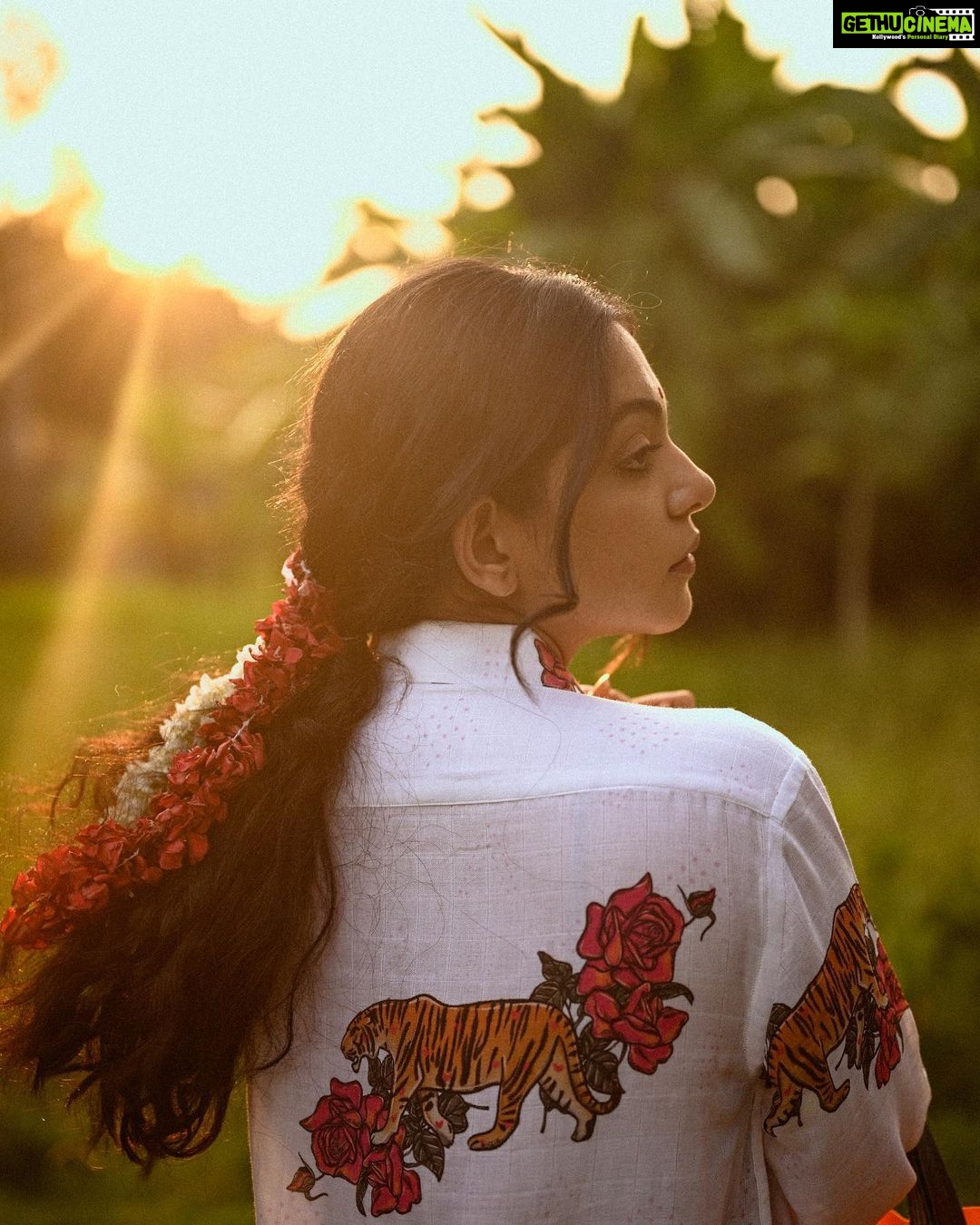 Ahana Kumar Instagram - tigress 🌹 மெட்ராஸ் சாயங்காலம் ~ Madras Sayanghalam - Chapter Two Creative Direction , Styling & Creatives @stylingbyafsheenshajahan Photographed by @parvathy.prasad_ Hair & Make-Up @priyanka.jose.artistry Shirt @aishrillustrations 🌺
