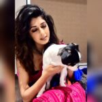 Aishwarya Sakhuja Instagram - His paw prints make my house a home 🐾 . . . #dogsofinstagram #doglovers #shichi #pets #furfamily #aishwaryasakhuja