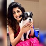 Aishwarya Sakhuja Instagram - His paw prints make my house a home 🐾 . . . #dogsofinstagram #doglovers #shichi #pets #furfamily #aishwaryasakhuja