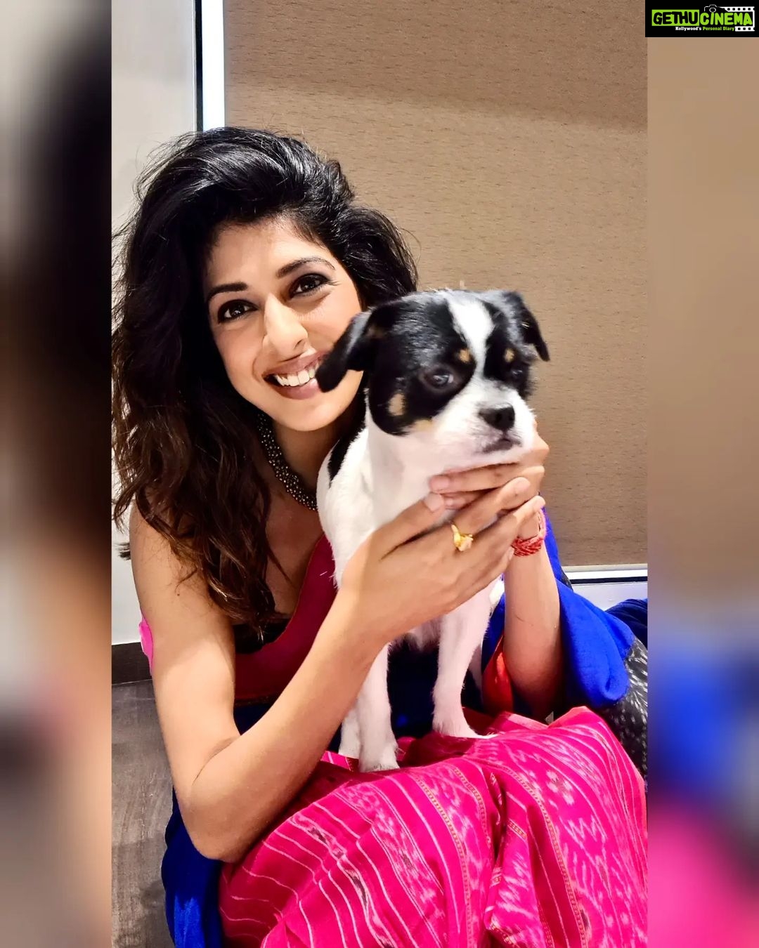 Aishwarya Sakhuja Instagram - His paw prints make my house a home 🐾 . . . #dogsofinstagram #doglovers #shichi #pets #furfamily #aishwaryasakhuja