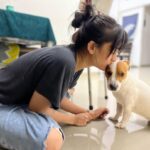 Akshara Haasan Instagram - Puppy love series. Secrets are always best kept with our besties. Secret session with this cutie @connor_theterrier