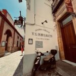 Amy Jackson Instagram - Lost on the streets of Sevilla P.S @maddoxgallery I think these guys need your help hanging their art 😵‍💫 Sevilla, España