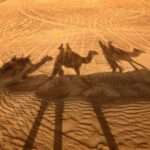 Amyra Dastur Instagram – Into the desert we go 🐪 
.
.
.
#dubai #dubaidunes #sanddunes #wanderlust #traveljunkie #desert #desertsafari #throwback #funinthesun