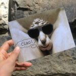 Angira Dhar Instagram - Here’s a depiction of my wandering mind.. enjoy! #thatsdavid #youareright #travel #italy #italia #montenegro #croatia #go