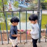 Anita Hassanandani Instagram – Boys day at the park!
😍
@komalraghani