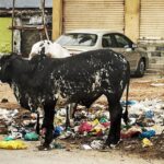 Anupama Parameswaran Instagram – How my “good morning “ look like 😶To all the people who still does this to the planet 🌎 “shame on you” #savetheplanet #saveearth