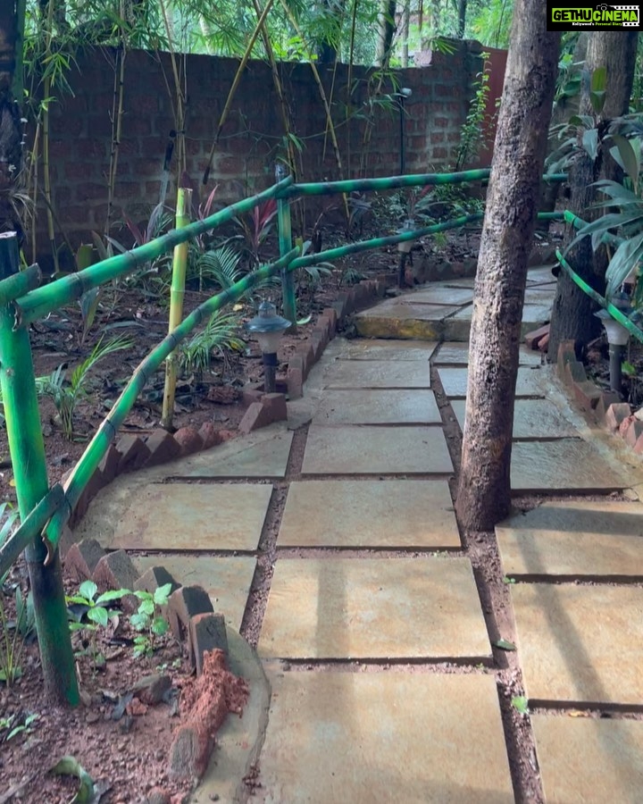 Aparnaa Bajpai Instagram - Sthiram Sukham Asanam🧘🏼♀️ Inner Living Mandrem, Goa