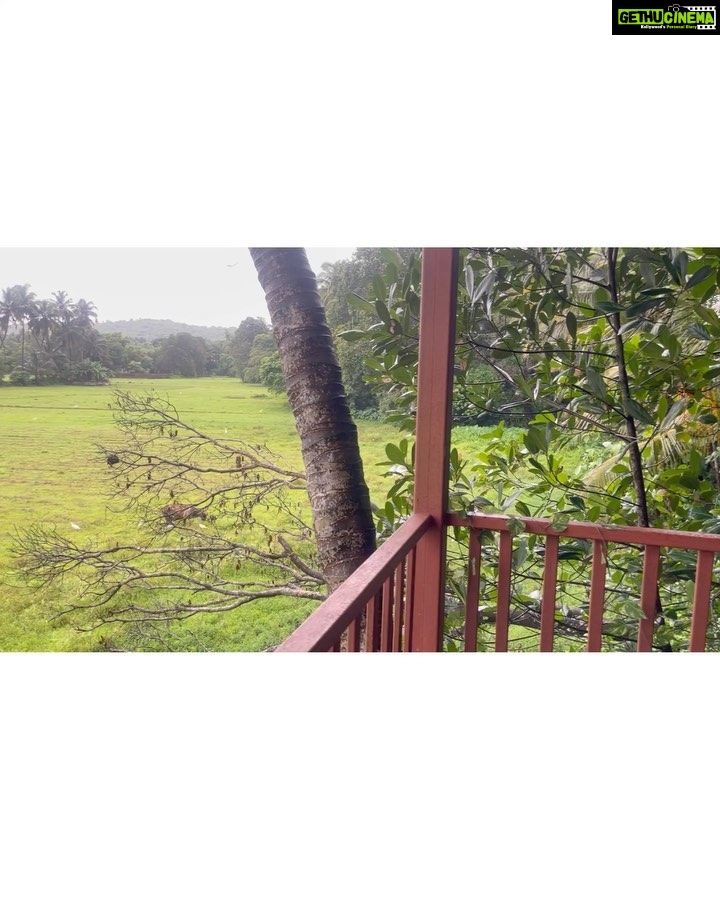 Aparnaa Bajpai Instagram - Sthiram Sukham Asanam🧘🏼♀️ Inner Living Mandrem, Goa
