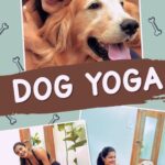 Ashna Zaveri Instagram - I got a special guest to do yoga with me this #yogaday .. check out my full vlog on YouTube ✨🐶 #yoga #yogaday #dogyoga #internationalyogaday