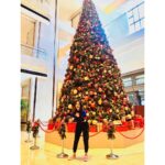 Bhumi Pednekar Instagram - Merry Christmas 🎄 Spread love and Joy! . #love #instagood #christmas