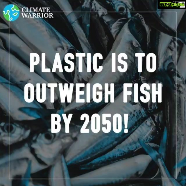 Bhumi Pednekar Instagram - #ClimateWarrior