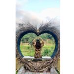Bhumi Pednekar Instagram - I love you too ❤️ #Mood #Gratitude #ThankYou . . . #goodmorning #insta #fam #love #Bali #BPTravels #Bala #SaandKiAankh #Sunday Ubud, Bali, Indonesia