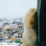 Bhumi Pednekar Instagram - This video made me shiver with fear, broke my heart... Plastic and Pollution everywhere @afrozshah_ we need your army to spread in the farthest parts of the world 🌎 #PlasticCleanUp #Repost from @earthofficial • • • • • •