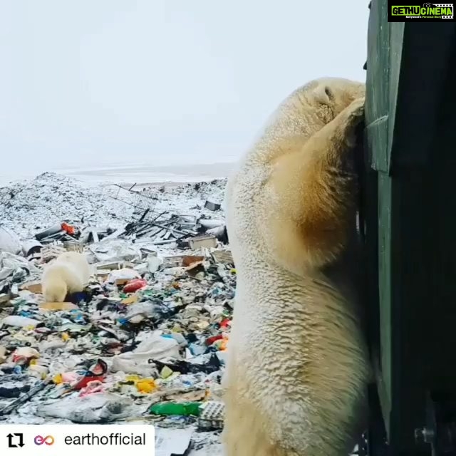 Bhumi Pednekar Instagram - This video made me shiver with fear, broke my heart... Plastic and Pollution everywhere @afrozshah_ we need your army to spread in the farthest parts of the world 🌎 #PlasticCleanUp #Repost from @earthofficial • • • • • •