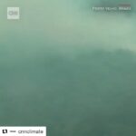 Bhumi Pednekar Instagram - I swear to god,if this doesn’t give you sleepless nights, then I don’t know what would. We have abused our planet way too long. Because of extreme deforestation, climate change and man made fires, the #amazonrainforest is hit with over 9000 wild fires. They provide our planet with 20% of our oxygen, home to a rich wild life that needs to be preserved. Please go to @earthalliance and donate, understand the work they are doing and the level to which we have *f....d* up. #prayforamazonas #prayforamazonia #climatecrisis #saveourfuture