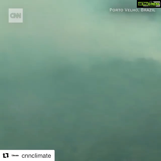 Bhumi Pednekar Instagram - I swear to god,if this doesn’t give you sleepless nights, then I don’t know what would. We have abused our planet way too long. Because of extreme deforestation, climate change and man made fires, the #amazonrainforest is hit with over 9000 wild fires. They provide our planet with 20% of our oxygen, home to a rich wild life that needs to be preserved. Please go to @earthalliance and donate, understand the work they are doing and the level to which we have *f....d* up. #prayforamazonas #prayforamazonia #climatecrisis #saveourfuture