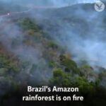 Bhumi Pednekar Instagram - The amazon forest, the lungs of our planet and house to one of the most diverse and beautiful species on earth has been ablaze! There is absolutely nothing more terrifying than this...#prayforamazonas #climatechange #climateactionnow #climatechangeisreal Via @the.independent