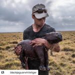 Bhumi Pednekar Instagram - #Repost @blackjaguarwhitetiger with @get_repost ・・・ !!GRAPHIC WARNING!!- PLEASE DON'T REPORT - THE WORLD NEEDS TO SEE!! Like to not like. This is the crushing reality of rhino poaching, where every 8 hours a life is extinguished, however, in this case 2 souls were lost with the strike of 1 bullet. Share his story so his death, and that of his mother, was not in vain. From @benswildlife - It’s not very often that I post a photo of myself, but I thought I would share my experience at a rhino poaching incident I was working at in South Africa this year. I’ve been working closely with wildlife vets, particularly for my rhino photojournalism story. A few weeks ago we were called to a rhino who had been killed by poachers during the night. The vets performed an autopsy on her to find the bullet; a vital piece of evidence in the investigation. In this case the cow was shot badly by the poachers, she was hit in the stomach causing her to die a slow and extremely painful death during night. I was taking photos and helping the vets where I could as they cut through her to search for the bullets when I overheard one of the vets mention that she was pregnant. I ran to the back of the rhino just as they were slicing open the amniotic sack, exposing this foetus, which was close to being born. Conservation, particularly of rhino, is something I’ve been involved in for a long time. I’ve been to poaching incidents before, I’ve seen some gruesome things, but this is something that will haunt me for a very long time. His fragile skin was soft to the touch, and tore easily with the most gentle of brushes. His feet were underdeveloped, his lifeless eyes glazed behind the thick eyelashes that had started to grow. There in the grass he lay, next to his mother, who must have died slowly, agonisingly, and full of fear in the dark night. His opportunity to live torn away at the pull of a trigger, and at the greed of mankind. Pic: @lisa_vet_graham @benswildlife - follow him _____________________________________#wildlife #rhinoceros #thehardtruth #southafrica #nature #poaching #rhinopoaching #VETPAW #counterpoaching #antipoaching #poachers #poaching #PoachingStealsFromUsAll @wilda