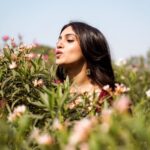 Bhumi Pednekar Instagram - Happy Sunday ❤️ #happy #love #sunday #dollykittyaurwohchamaktesitare 📷 @ashiq_mk