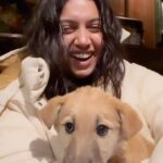 Bhumi Pednekar Instagram – Do you baby talk dogs too? 🐶❤️🥹 🙏♾
.
.
.
#reels #goodmorning #Instagram #love #instadogs #dogsofinstagram #puppies #instapuppy #doglover