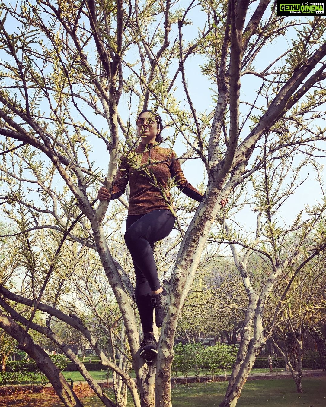 Bhumi Pednekar Instagram - Latest obsession..climbing trees ✌🏻#friday #love #nature #sonchiriya #chambal #mornings #summer