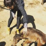 Bhumi Pednekar Instagram - Main aur Moo 🐮 🐄(the series continues 🙏🏻) #Chambal #love #goodmorning #wednesday #wintersun #winter #wisdom #animallove #ravines #shootlife #offset #musings