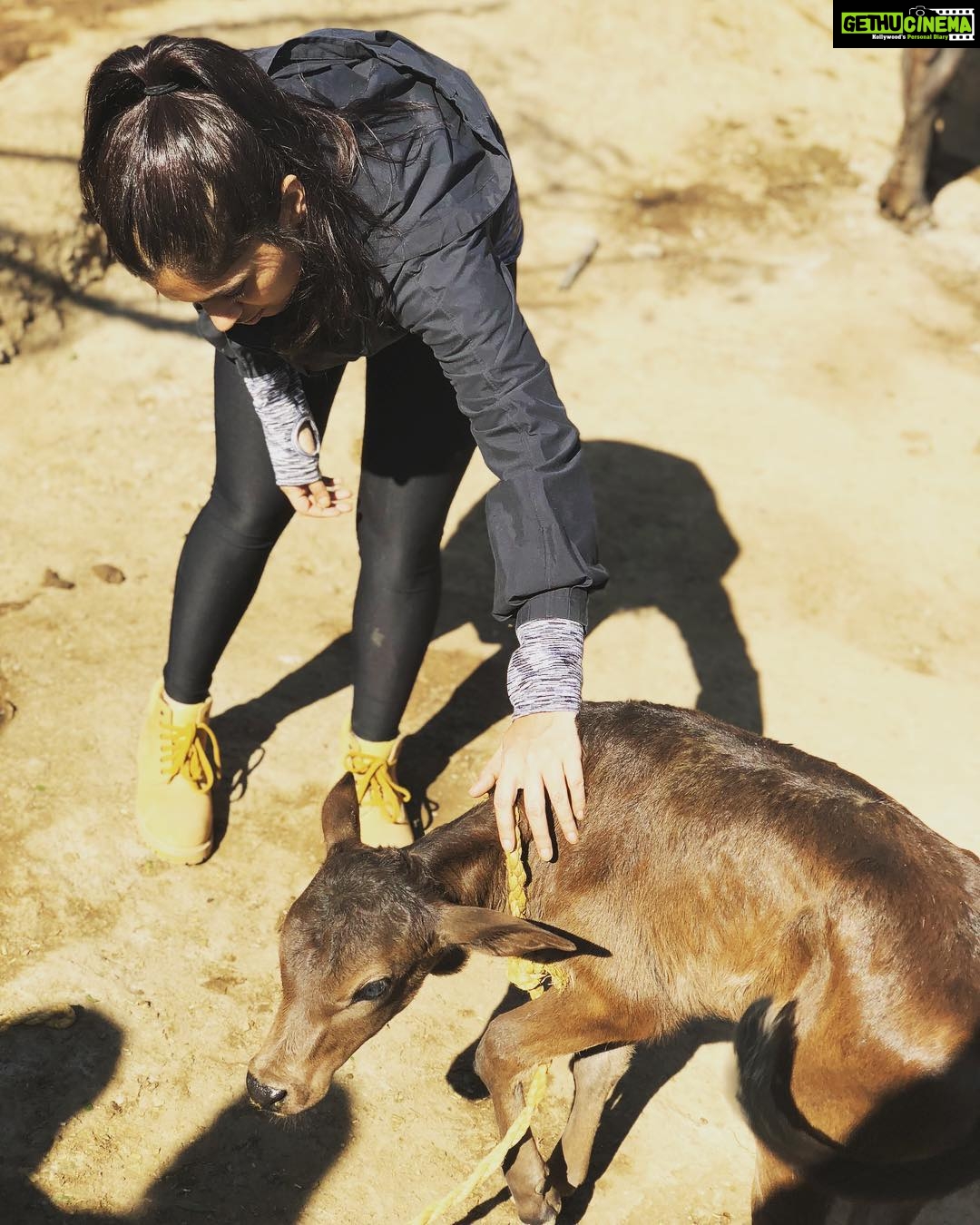 Bhumi Pednekar Instagram - Main aur Moo 🐮 🐄(the series continues 🙏🏻) #Chambal #love #goodmorning #wednesday #wintersun #winter #wisdom #animallove #ravines #shootlife #offset #musings