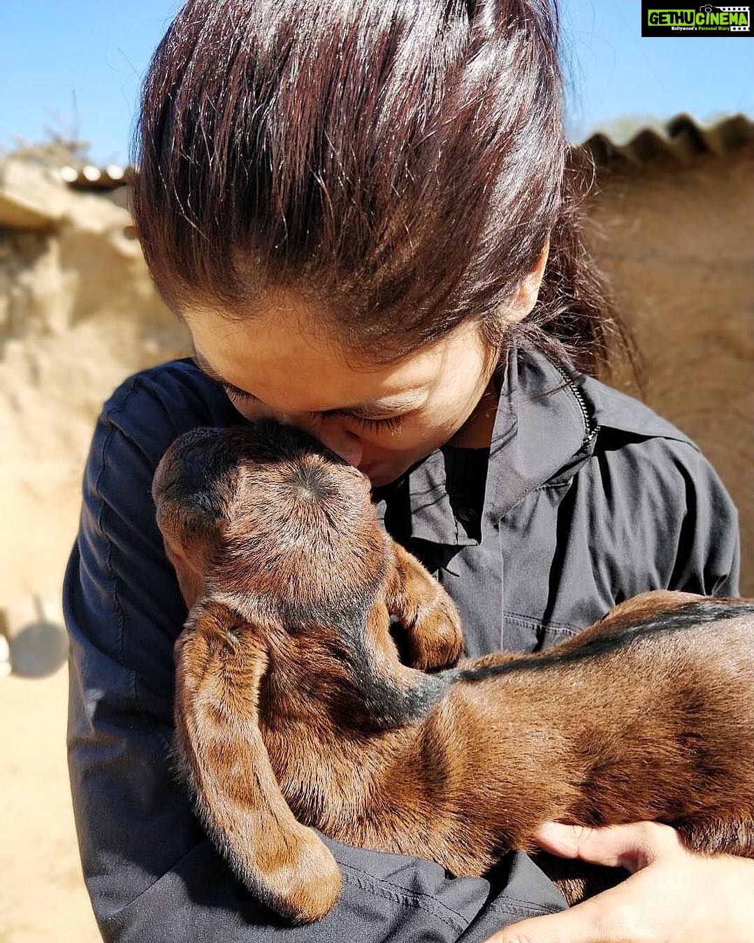 Bhumi Pednekar Instagram - Main aur maaaiiinnnnn 🐐 #Chambal #GherGaon #tuesday #OffSet #ShootLife #Love #animallove