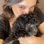 Bhumi Pednekar Instagram - My sweet little angel #Beau 🥺 #unconditionallove #1stborn . . . . . . #puppy #dogsofinstagram #puppylove #dogs #puppiesofinstagram #dogstagram #instadog #dogoftheday #cute #do-glover #puppylife #pets #doggo #puppyoftheday #instagram #puppygram #ilovemydog #petsofinstagram