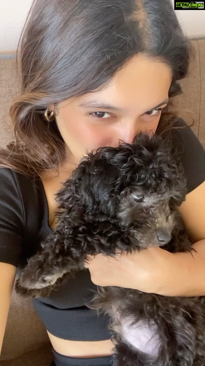 Bhumi Pednekar Instagram - My sweet little angel #Beau 🥺 #unconditionallove #1stborn . . . . . . #puppy #dogsofinstagram #puppylove #dogs #puppiesofinstagram #dogstagram #instadog #dogoftheday #cute #do-glover #puppylife #pets #doggo #puppyoftheday #instagram #puppygram #ilovemydog #petsofinstagram