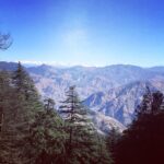 Bhumi Pednekar Instagram - This pretty pretty place #devbhumi #shimla #himachalpradesh #kufri #manmarziya